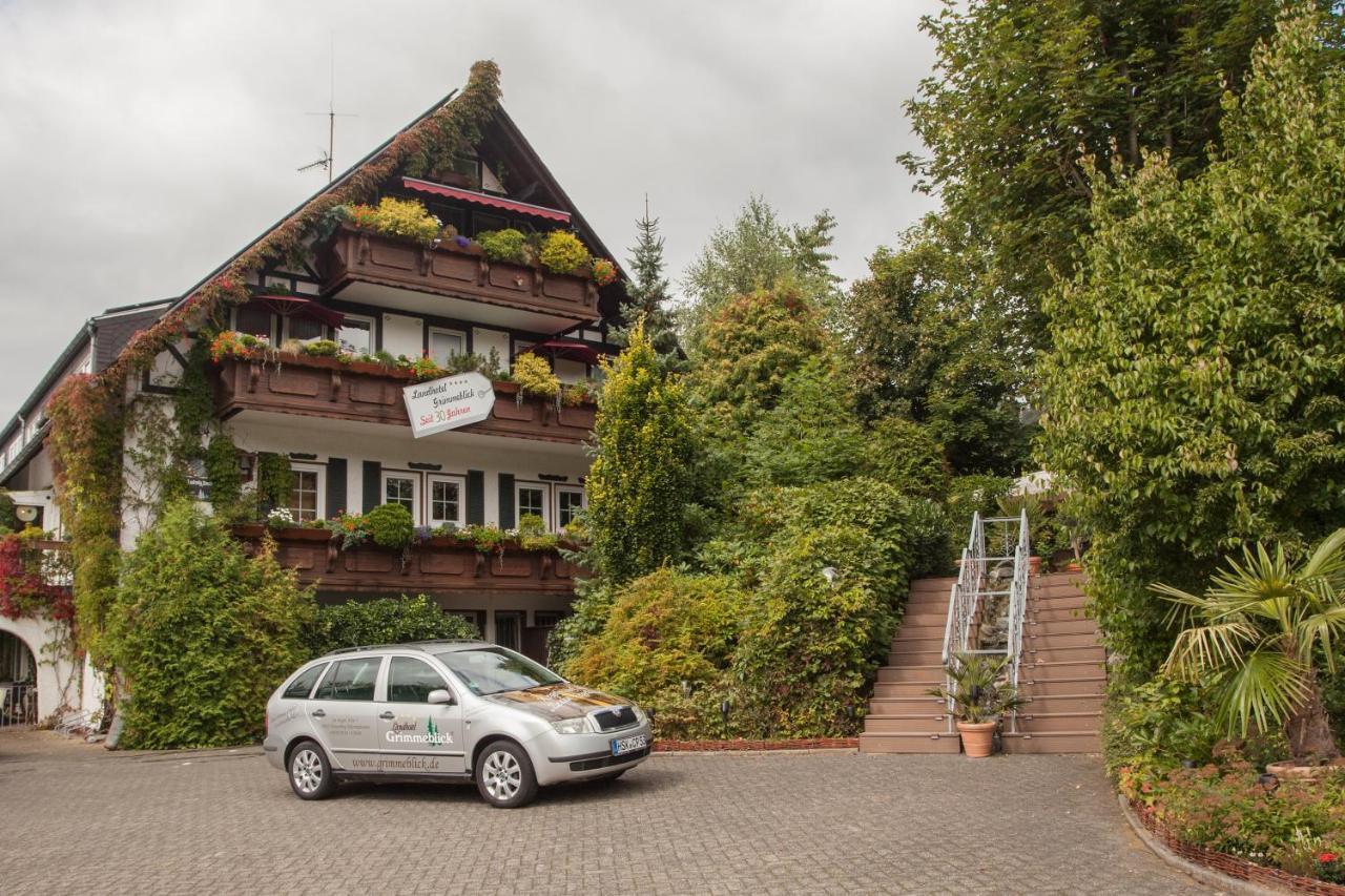 Landhotel Grimmeblick Винтерберг Екстериор снимка