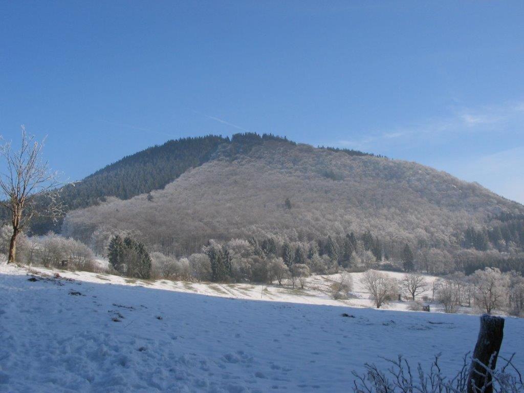 Landhotel Grimmeblick Винтерберг Екстериор снимка